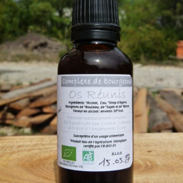 *Complexe de Bourgeons - Os Réunis