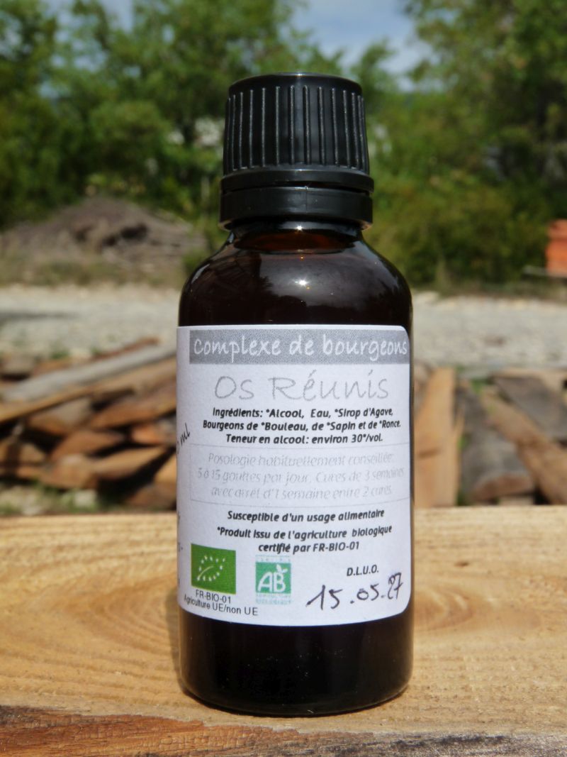 *Complexe de Bourgeons - Os Réunis