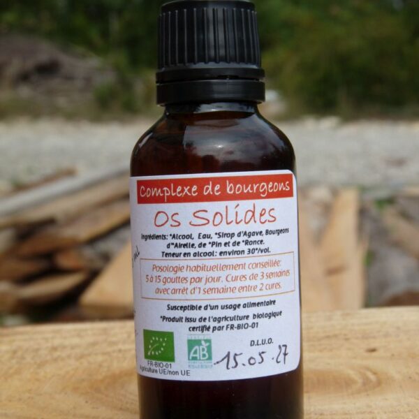 *Complexe de Bourgeons - Os Solides