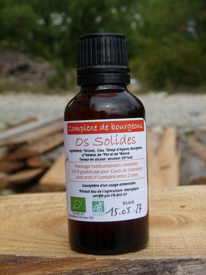 *Complexe de Bourgeons - Os Solides