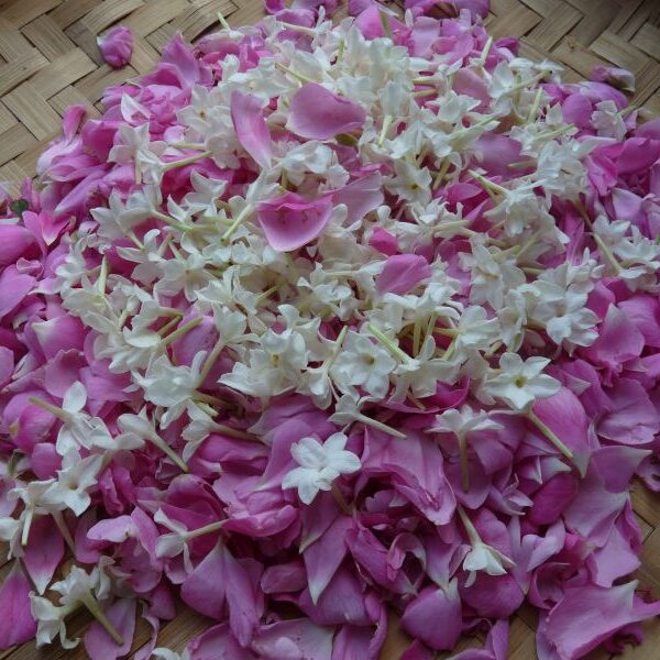 *Huile de macération : Rose et Jasmin