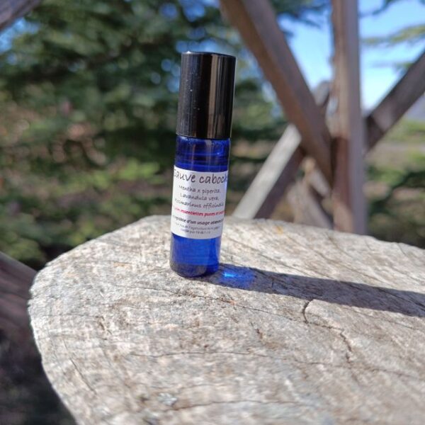 *Synergie d'huiles essentielles : Sauve caboche Roll on 5ml