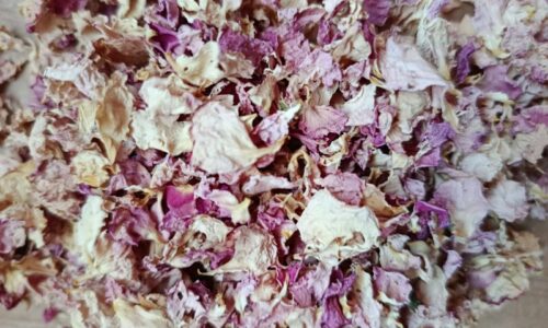 petales roses sechés petales roses sechés